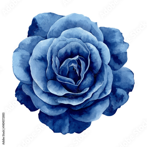 Watercolor Painting of Blue Rose Flower Blossom Isolated on White Background for Decoration