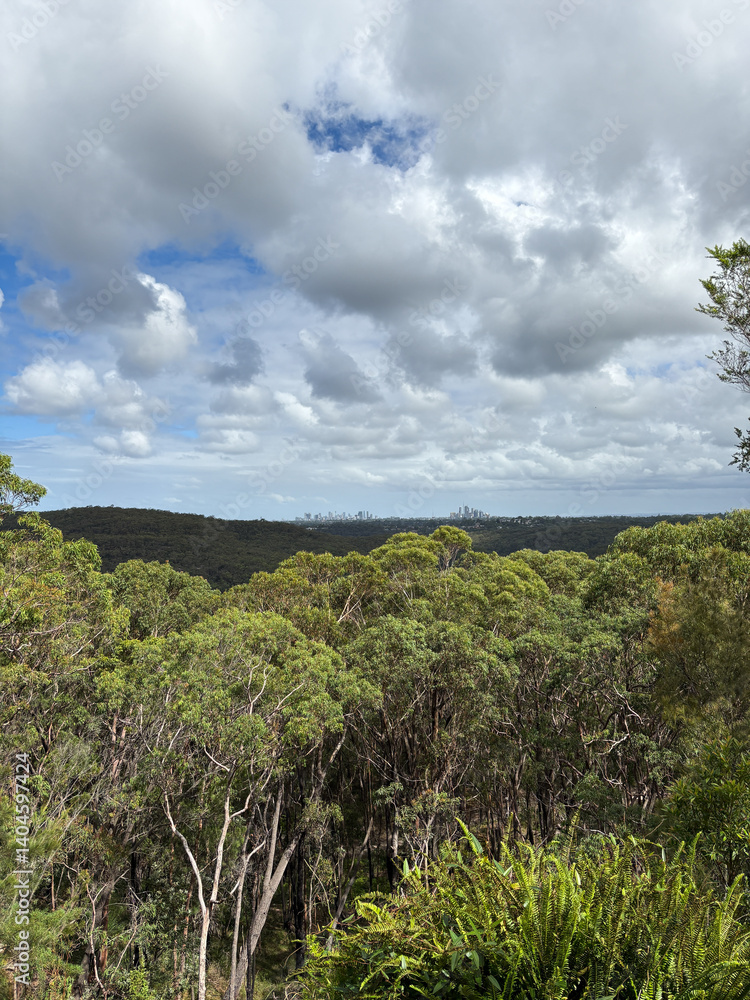 Obraz premium Green trees and blue sky with city skyline on the background.