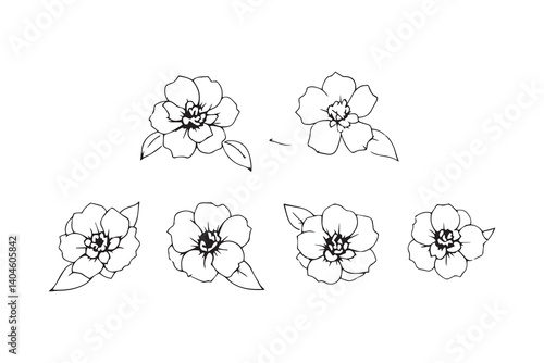 Set of 6 pec in two row  Japanese Camellia line art on white background