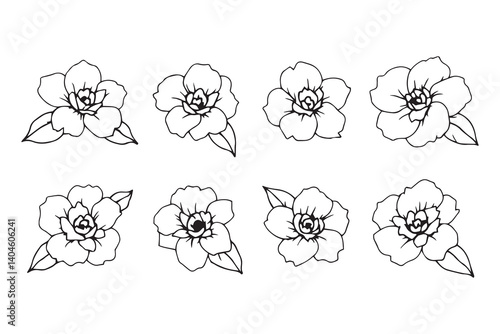 Set of 6 pec in two row  Japanese Camellia line art on white background