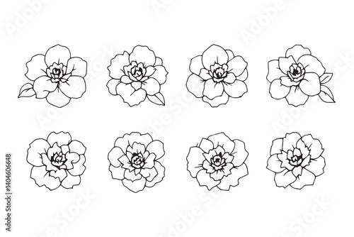 Set of 6 pec in two row  Japanese Camellia line art on white background
