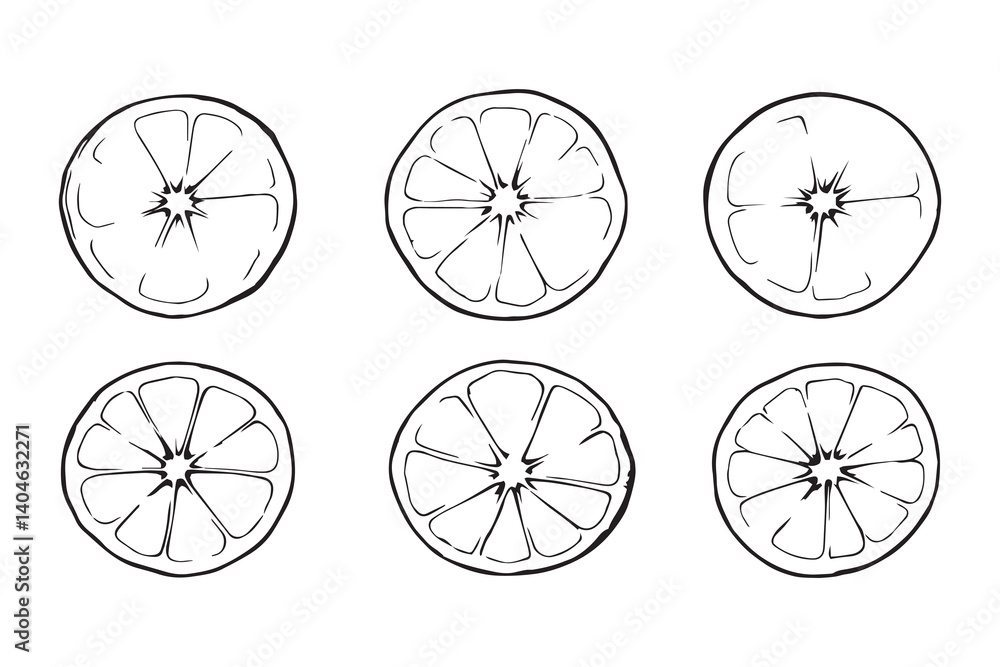 lime half slice black line art lime half slice black line art