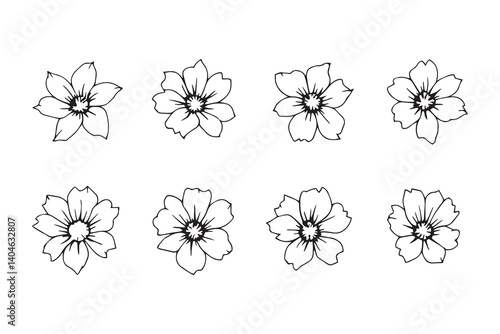 Set of 6 pec in two row  Lobelia black line art on white background