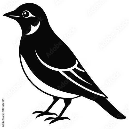 Bohemian waxwing vector silhouette single collection