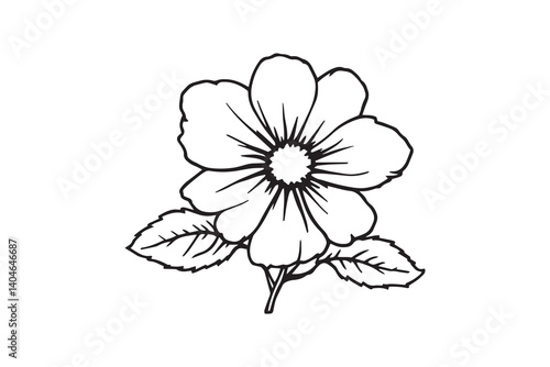 Marsh Marigold line art