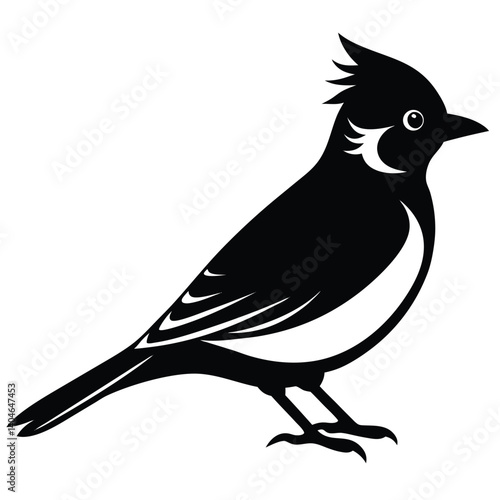 Bohemian waxwing vector silhouette single collection