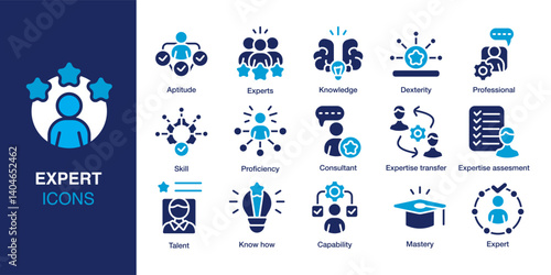 Expert icon set. Containing skill, knowledge, professional, consultant, capability, assessment and more. Solid vector icons collection. Vector illustration.