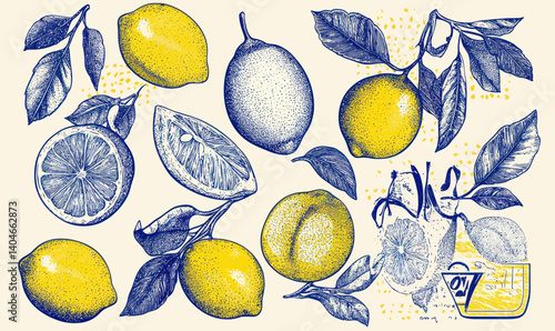 Engraved Hand Drawn Lemons and Leaves Illustration for Posters and Invitations