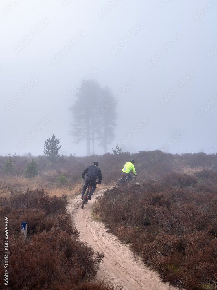 men on mountainbike in morning mist on heath in dutch province of utrecht