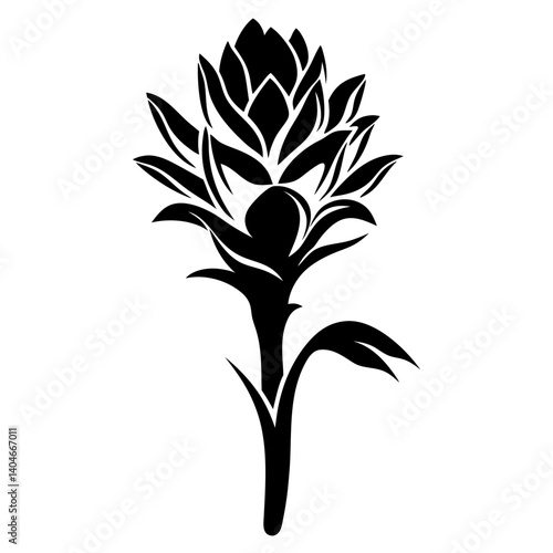 Black and White Stylized Torch Ginger Flower Botanical Illustration