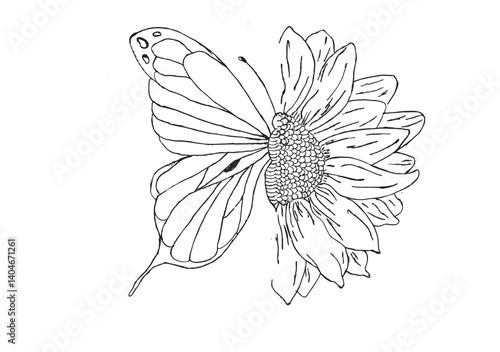 Detailed black and white sketch showing a butterfly merging with a flower perfect for designs art prints and inspiration
