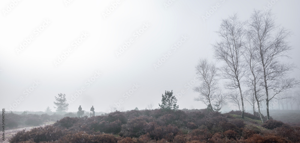 two women on horseback ride in forest area near amersfoort in the netherlands