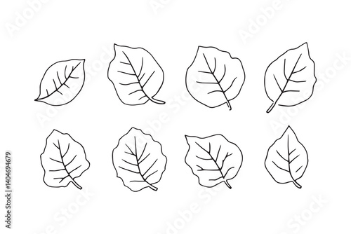 Sapodilla Leaf line art