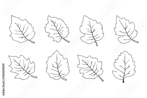 Sapodilla Leaf line art
