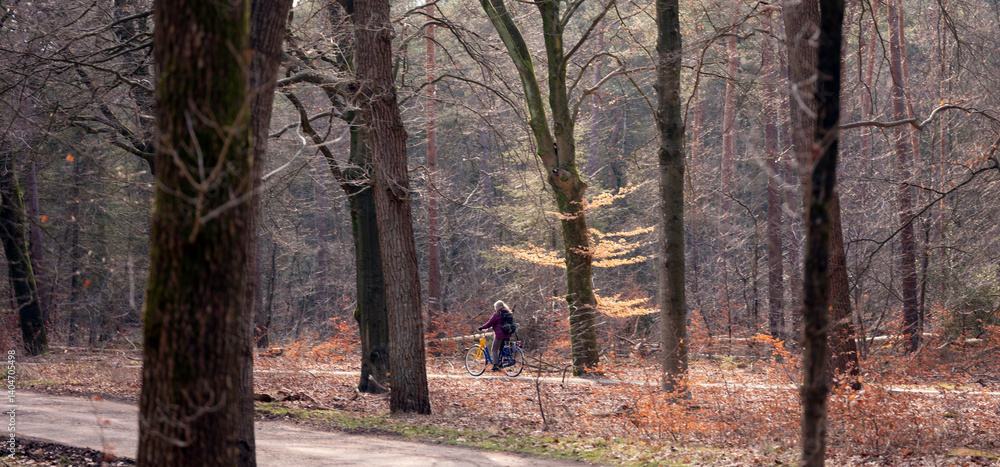 woman on bicycle inforest in dutch province of utrecht