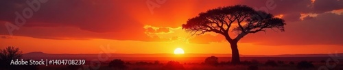 Imposing baobab silhouette against fiery sunrise sky , dry, light, nature