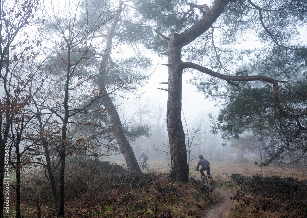 men on mountainbike in morning mist on heath in dutch province of utrecht