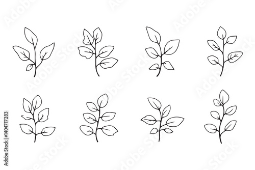 Wild Ginger line art