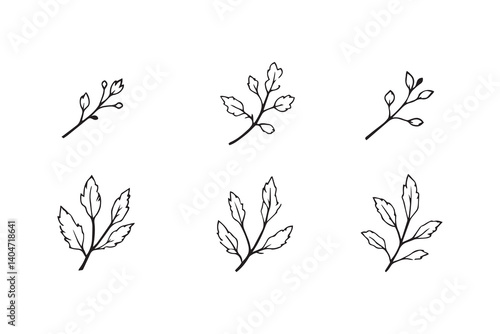 Wormwood line art
