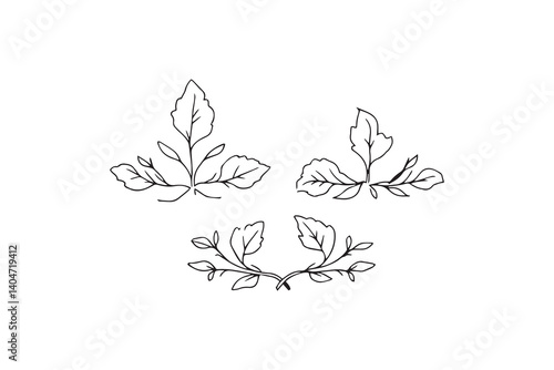 Wormwood line art