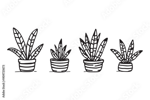 Zebra Plant line art