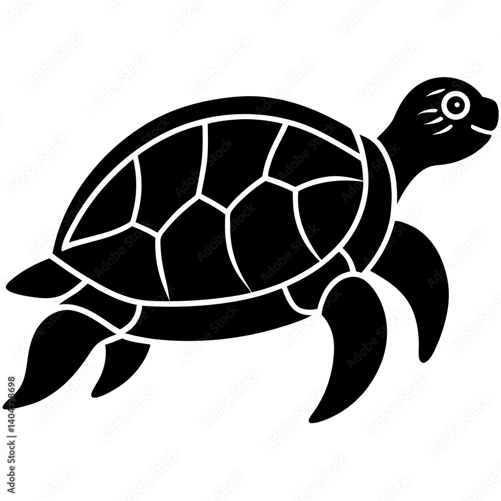 turtle vector illustration