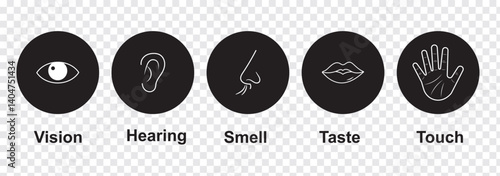 Human sense icons. Five human senses icons. Vision smell hearing touch taste senses fillings. Five fillings icons. Vector Illustration. Vector Graphic. 