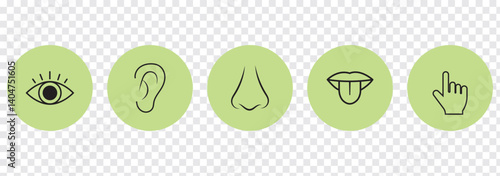 Human senses icon set. Vision eye, smell nose, hearing ear, touch hand, taste mouth with tongue. Simple line icons and black circle. Five senses of human nervous system.