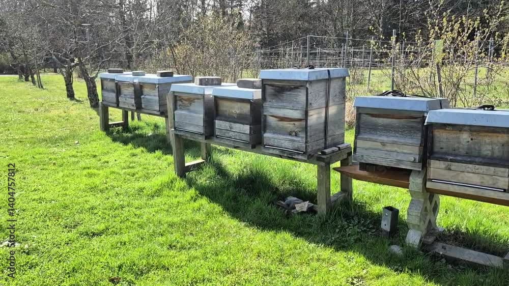 Close up of flying bees. Wooden beehive and bees. Close up of flying bees. Wooden beehive and bees.