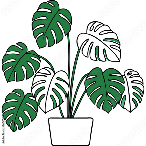 Monstera deliciosa plant in a pot, simple line art illustration.