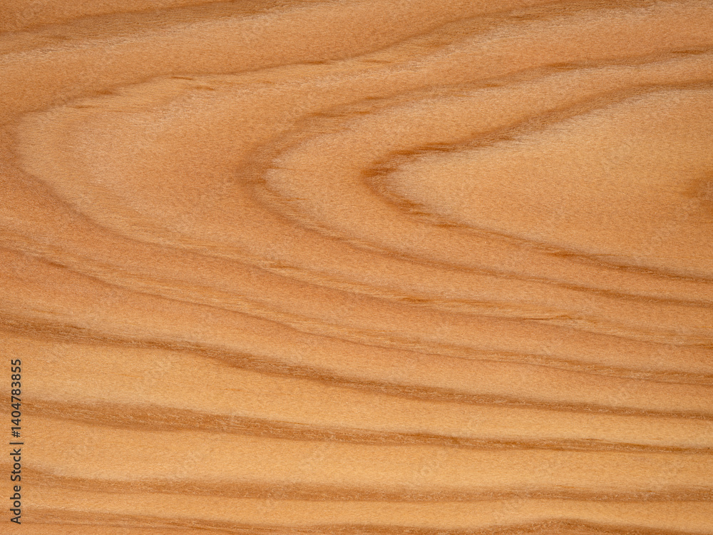Elegant larch veneer wood surface with detailed grain