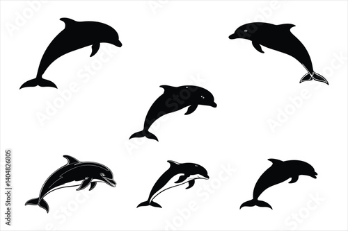 dolphin silhouette