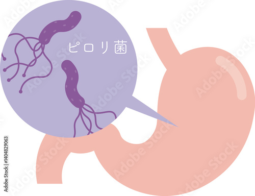 ピロリ菌のイラスト Helicobacter pylori illustration