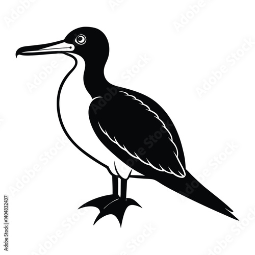 frigate bird line art vector illustration.