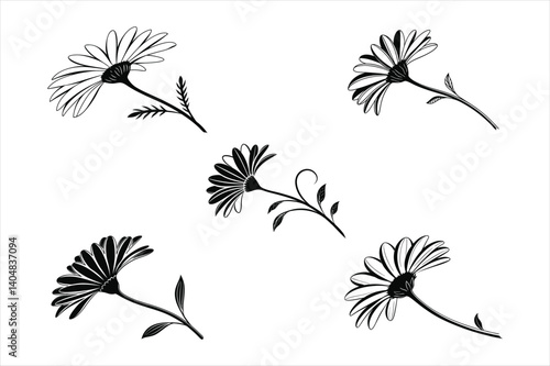 simple-daisy-flower