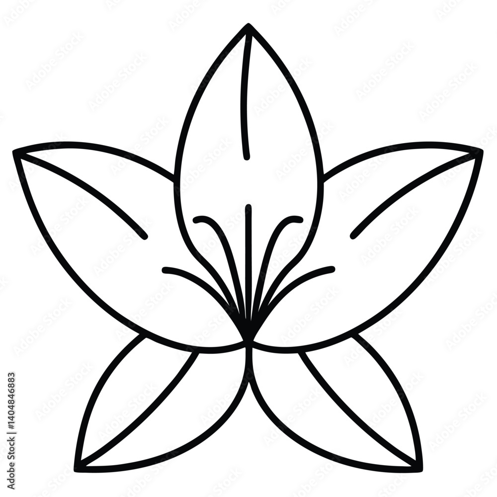 Simple Line Art Flower Drawing, Floral Design, Lily Bloom Illustration Simple Line Art Flower Drawing, Floral Design, Lily Bloom Illustration