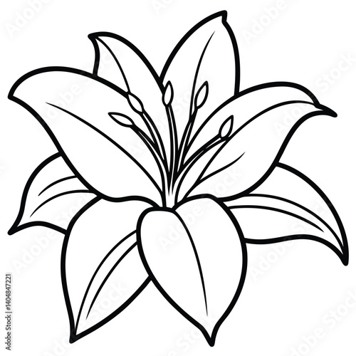 Elegant Black and White Line Art Lily Flower Drawing