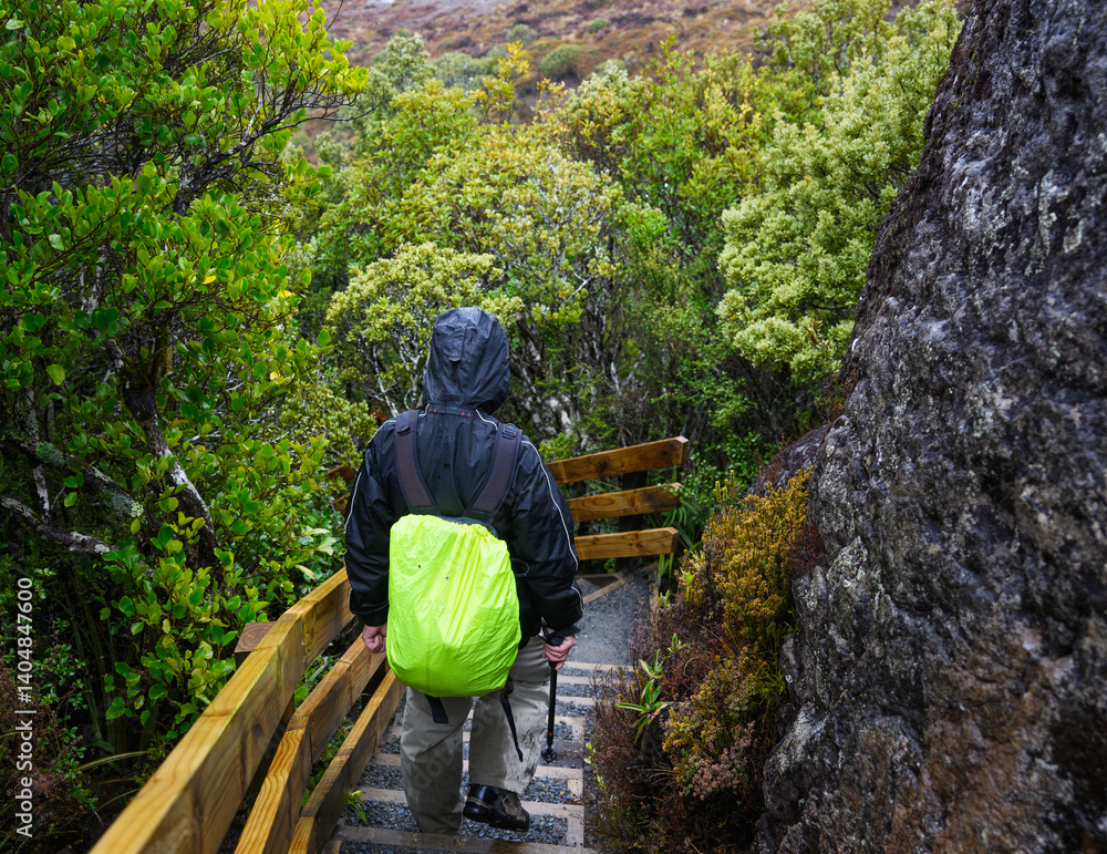 Backpacker hiking on the steep steps in the rain. Taranaki Falls track. Tongariro National Park. New Zealand.
