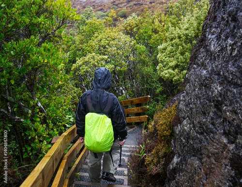 Obraz na płótnie Backpacker hiking on the steep steps in the rain. Taranaki Falls track. Tongariro National Park. New Zealand. w salonie