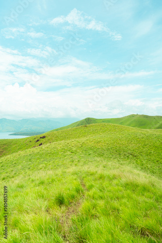 Fotografie Grassy rolling hills under sunlit skies, ideal for countryside and outdoor themes