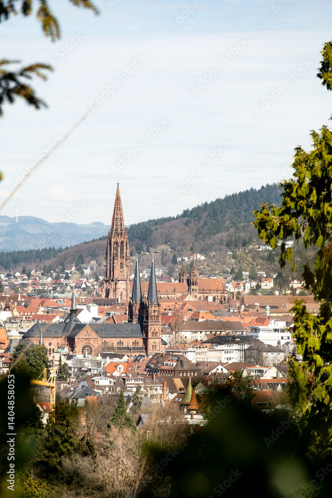 Naklejka premium Freiburg cityscape with Muenster cathedral seen from Lorettoberg
