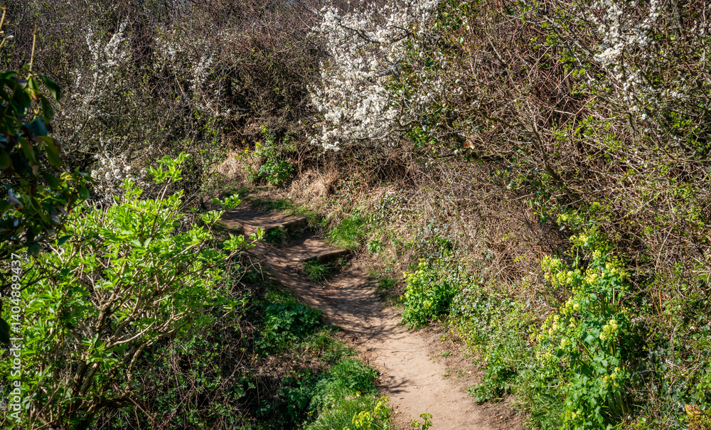 Walking the Anglesey coast path in spring Walking the Anglesey coast path in spring