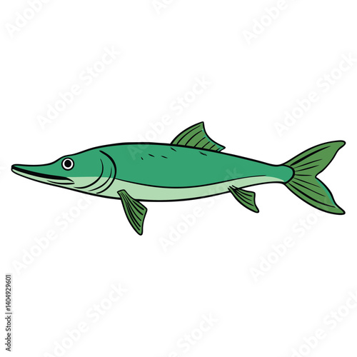  pike on white background