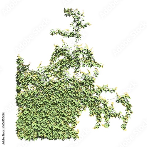 Climbing plants creepers isolated on white background 3d illustration