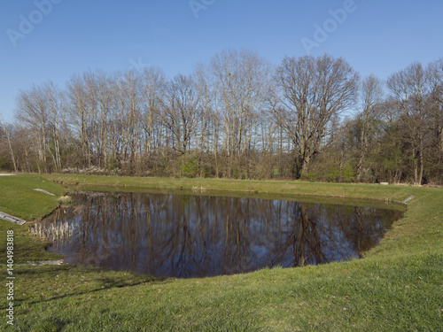 Auffangbecken, Teich