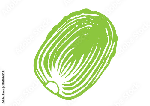 レトロな手描きの野菜のイラスト。白菜の断面のイラスト