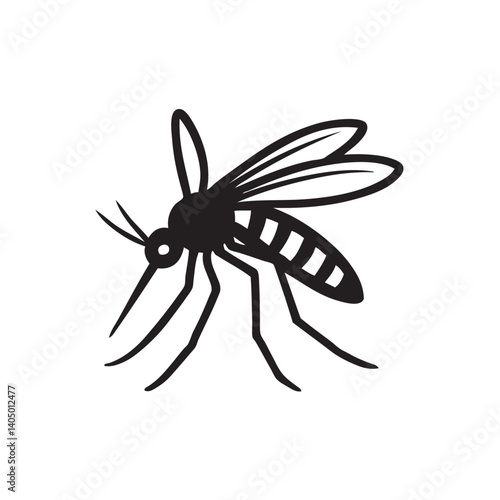 mosquito isolated on white