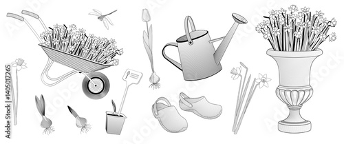 set elements about spring flowers gardening, daffodil flower, tulip flower, sprouted plant bulb, pair of rubber gardening boots, watering can,Blooming daffodils in decorative planter. Black and white 