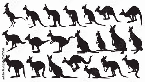 set of kangaroo silhouette vector on white background