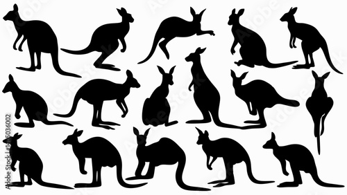 set of kangaroo silhouette vector on white background